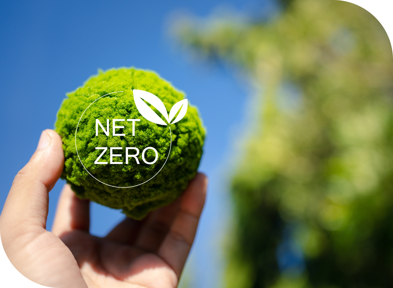 NET ZERO