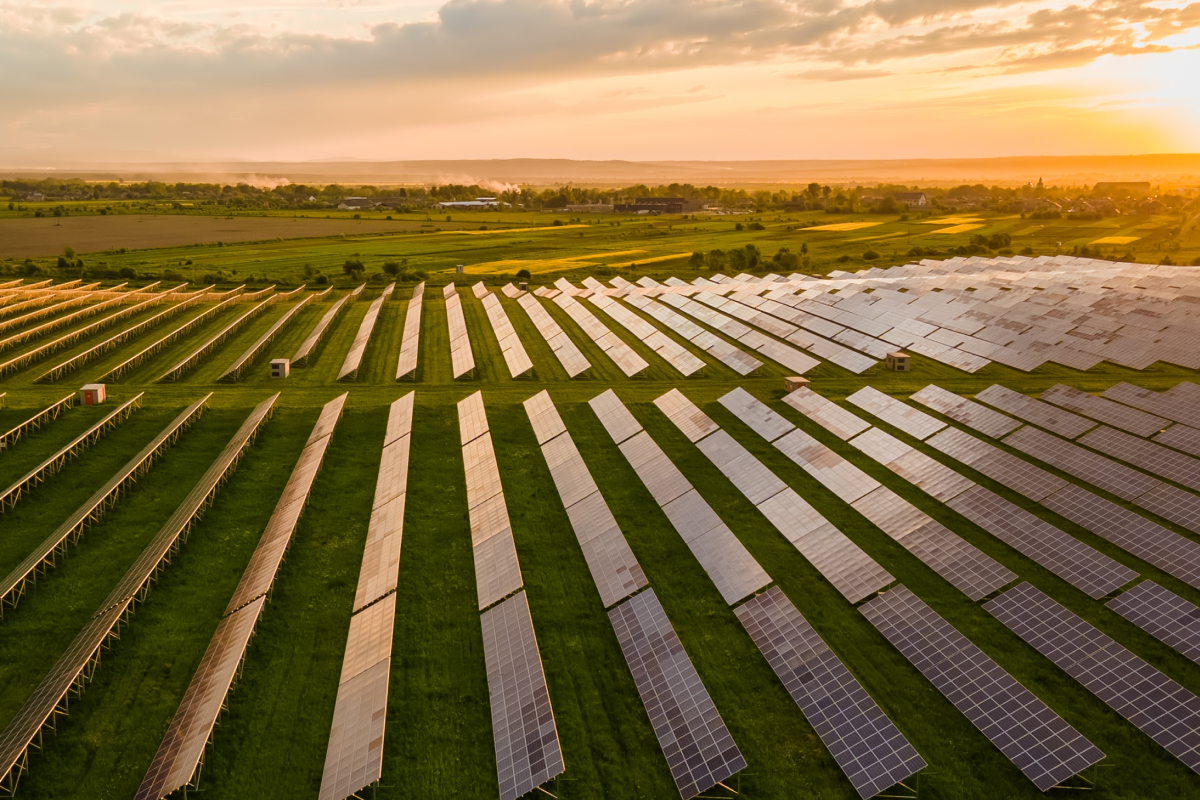 초원 위 태양광 패널 사진